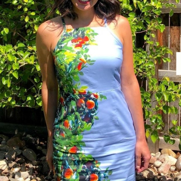 NWT Anthropologie Maeve Orange Bough Blue High Square Neck Pencil Dress, Size 10 - Picture 6 of 6